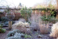 Frosty morning in No Man's Garden, January 2016